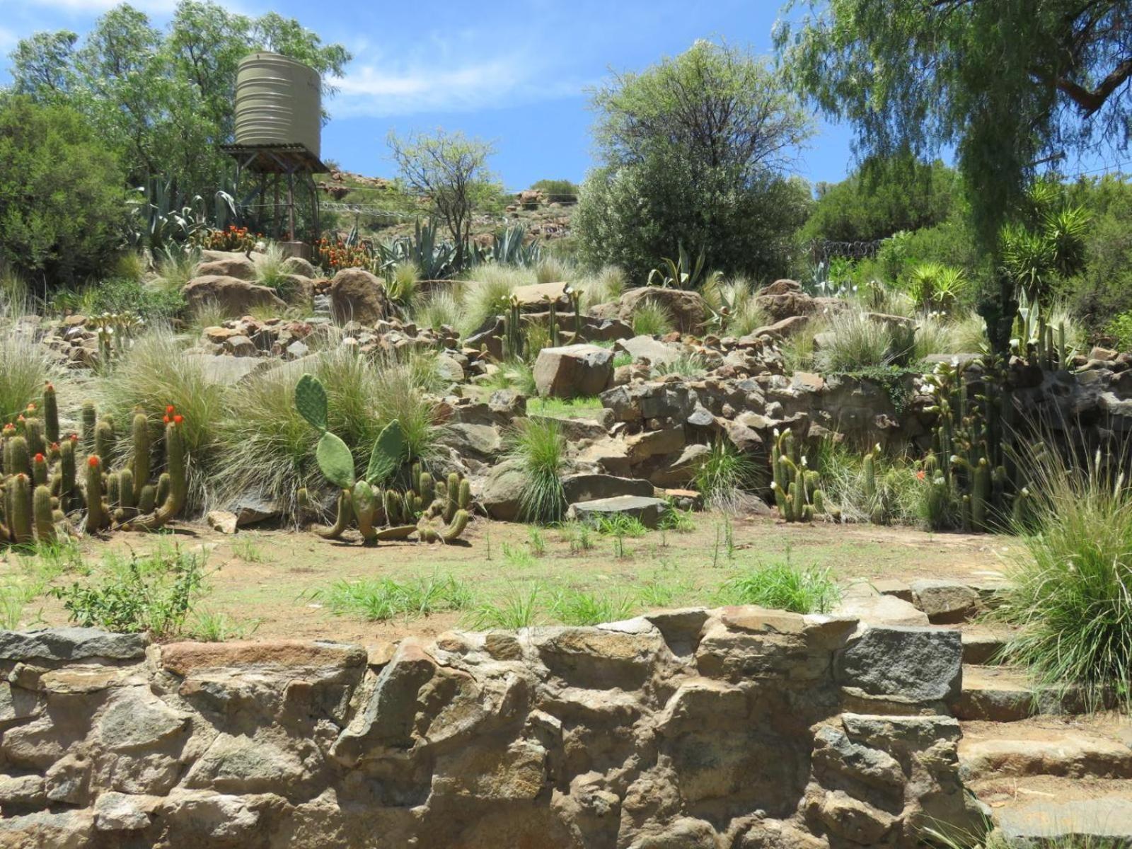 Cobblestone Court Hotel Colesberg Eksteriør billede